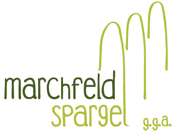 Marchfeldspargel